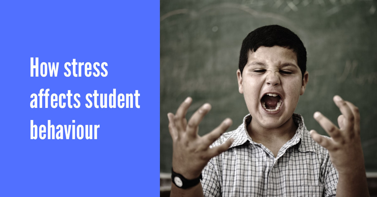 How stress affects student behaviour [infographic]